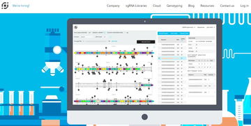 押注下一個(gè)前沿 合成生物領(lǐng)域創(chuàng)新與投資趨勢(shì)