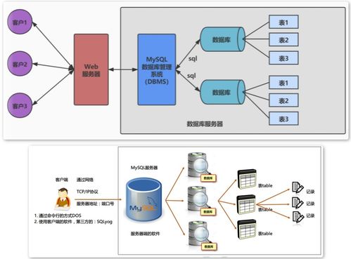 第01章 數(shù)據(jù)庫(kù)概述